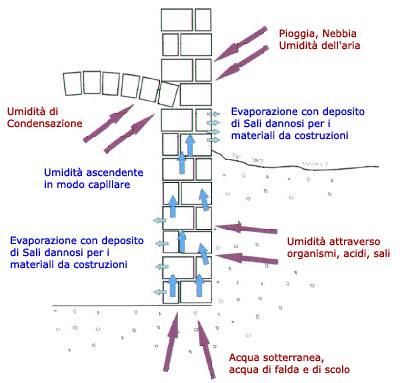 Architetto di leo leonardo il problema umidita: cause e soluzioni Umidità dal pavimento cosa fare